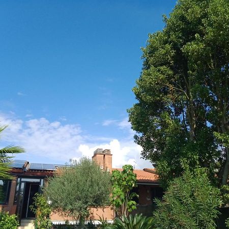 Appartamento Signorile, Luminosissima Vista Mare Fregenae Extérieur photo