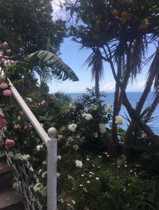Appartamento Signorile, Luminosissima Vista Mare Fregenae Extérieur photo